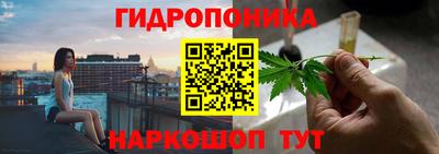 дурь Тверь